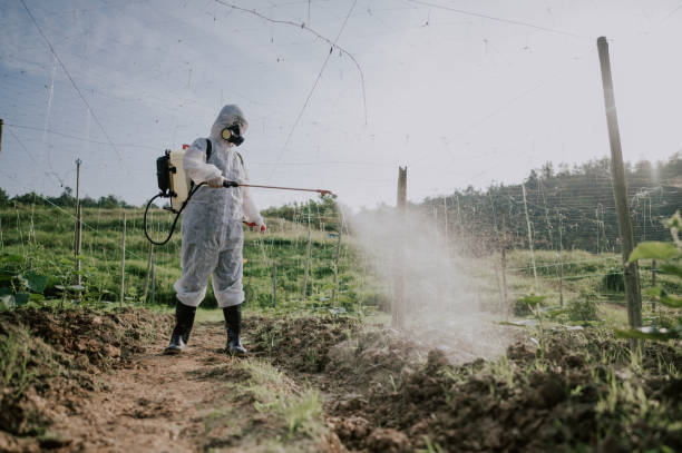 Best Local Pest Control Services  in Hazel Green, AL