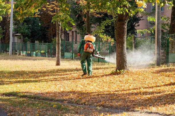 Best Pest Inspection Near Me  in Hazel Green, AL