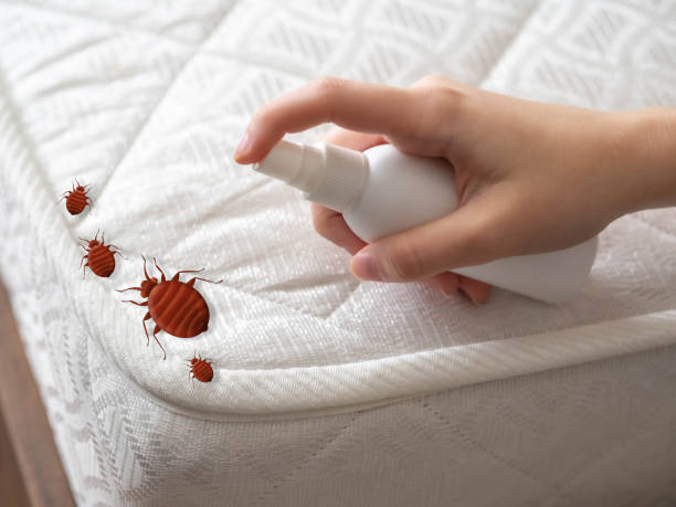 Best Mosquito Control Services  in Hazel Green, AL