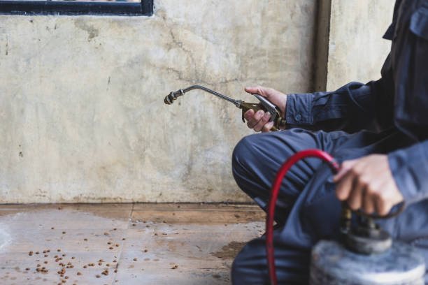 Best Wasp Removal Services  in Hazel Green, AL